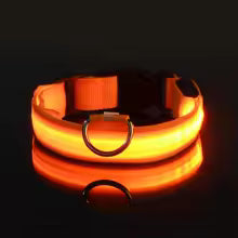 Collare Luminoso™