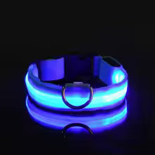 Collare Luminoso™