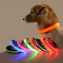 Collare Luminoso™
