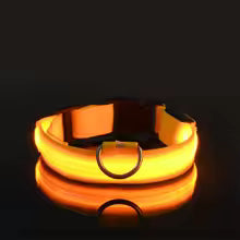 Collare Luminoso™