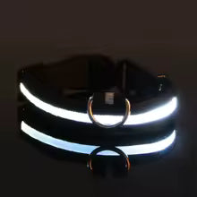 Collare Luminoso™