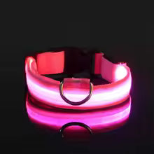 Collare Luminoso™