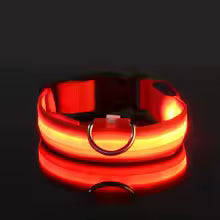 Collare Luminoso™