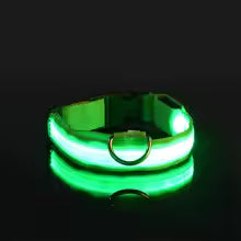 Collare Luminoso™